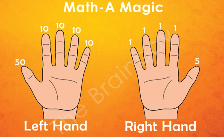 the-brainbay-math-a-magic-classes